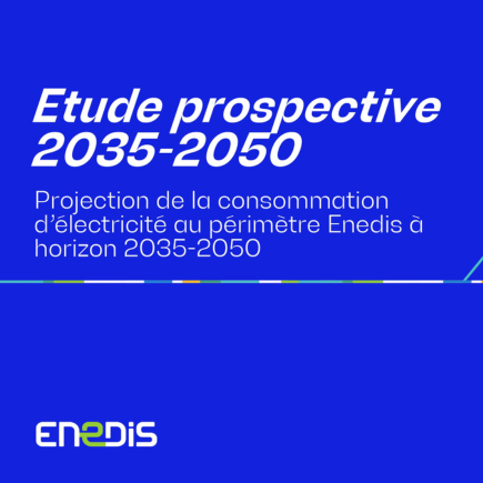 Etude prospective 2035-2050 - Enedis